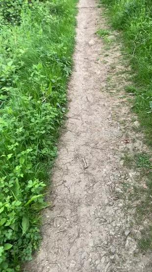 Photos of Outandabout from Cam4 is Freechat