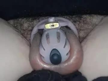 chustella from Chaturbate is Freechat