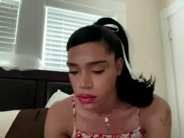 dynasty313 from Chaturbate is Freechat