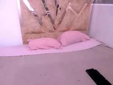 hannamour from Chaturbate is Freechat