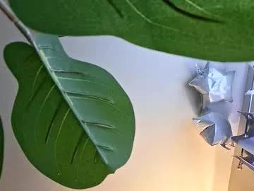 isabellacloverlove from Chaturbate is Freechat