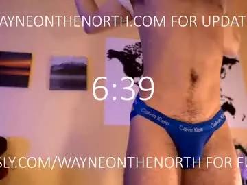 waynenorth from Chaturbate is Freechat