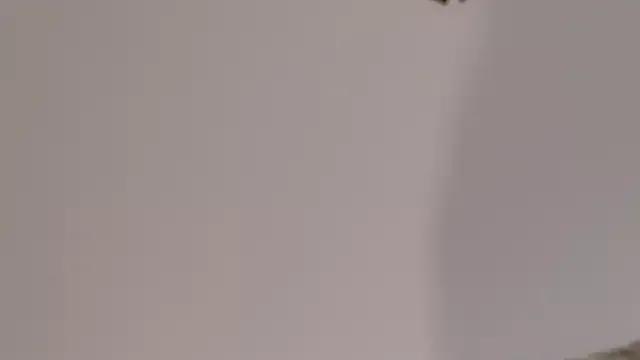 AvaBabyGirl from StripChat