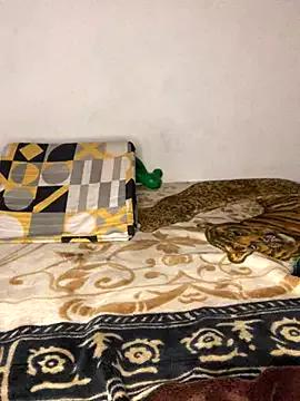 luisahot_9727 from StripChat is Freechat