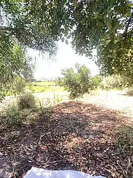 Samira-Summer from StripChat is Freechat
