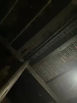 Nika--Nika — mc tiu c sn